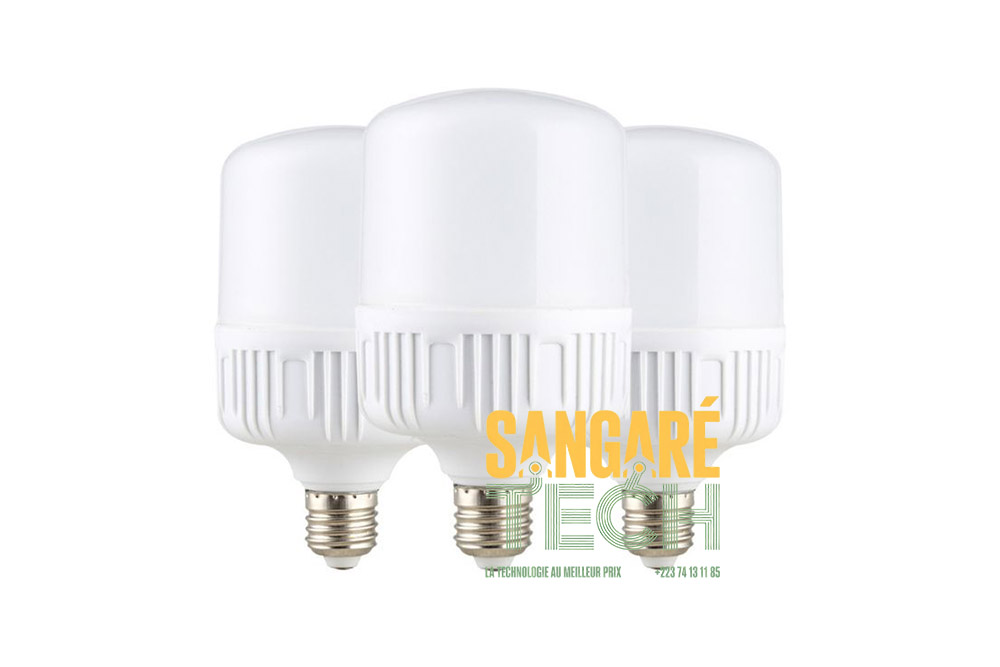 Ampoule LED Haute Luminosité E27